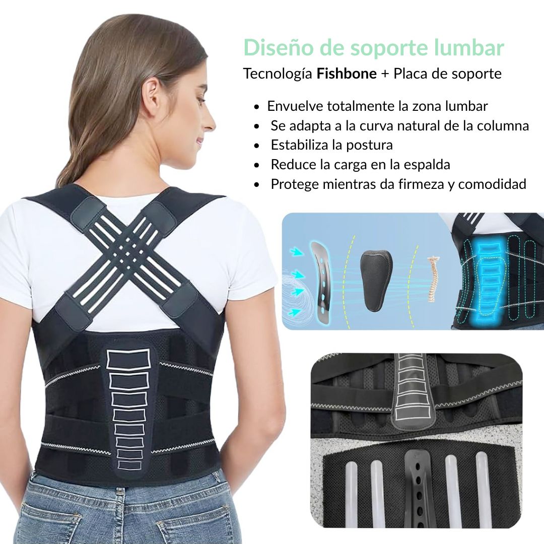 Corrector de Postura - Ergolive