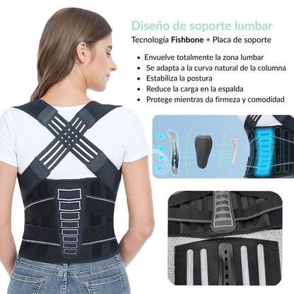Corrector de Postura - Ergolive